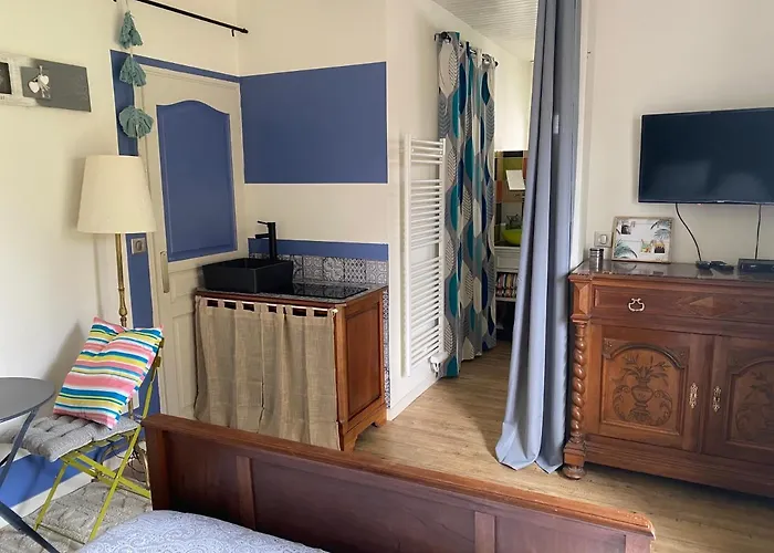 Domaine De L'espiguette Bed & Breakfast *
